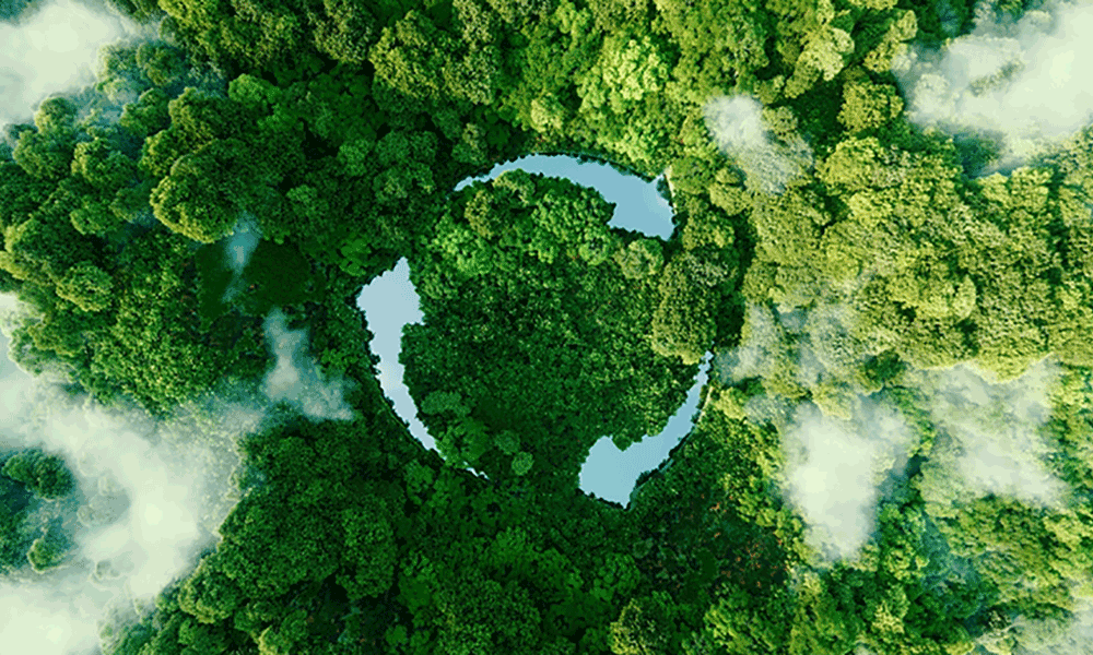 introducting-sustainability-report-2022 An aerial shot of green forest with three arrow icons superimposed over; depicting 'reduce, recycle, reuse'.